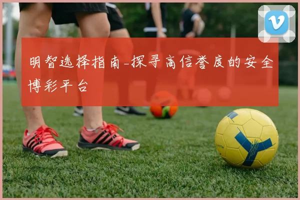 明智选择指南_探寻高信誉度的安全博彩平台
