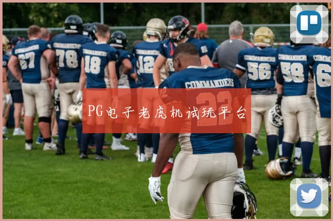 PG电子老虎机试玩平台