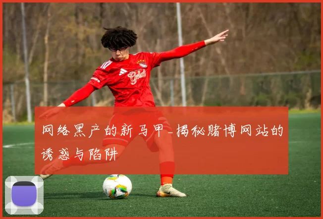 网络黑产的新马甲_揭秘赌博网站的诱惑与陷阱