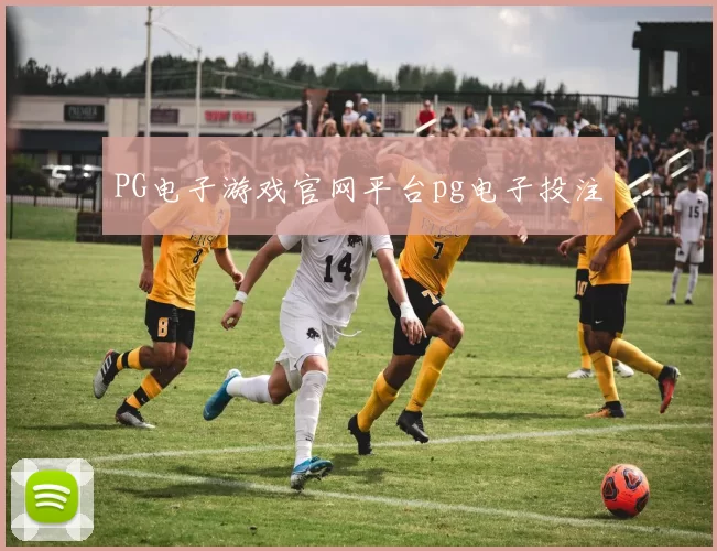 PG电子游戏官网平台pg电子投注