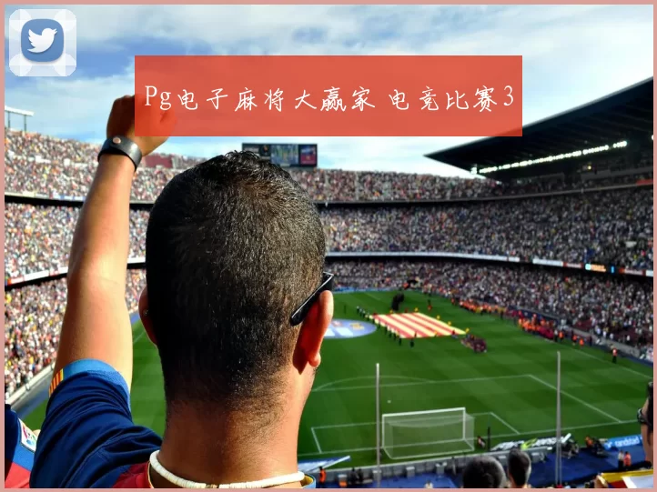 Pg电子麻将大赢家 电竞比赛3