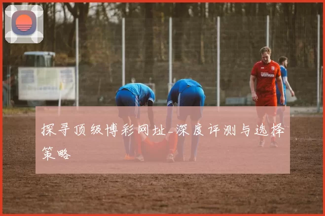 探寻顶级博彩网址_深度评测与选择策略