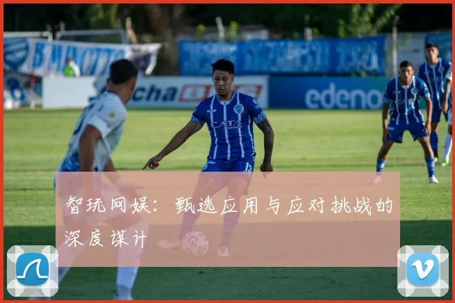 智玩网娱：甄选应用与应对挑战的深度谋计