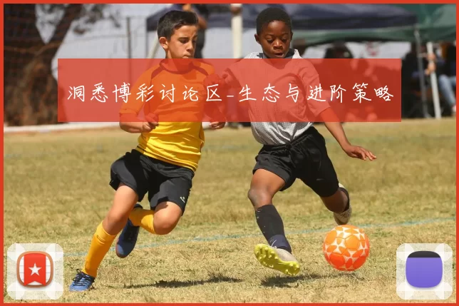洞悉博彩讨论区_生态与进阶策略