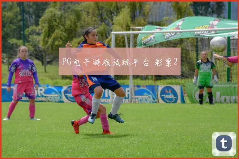 PG电子游戏试玩平台 彩票2