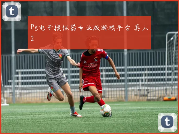 Pg电子模拟器专业版游戏平台 真人2