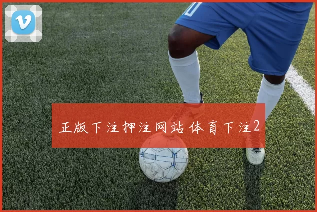 正版下注押注网站 体育下注2