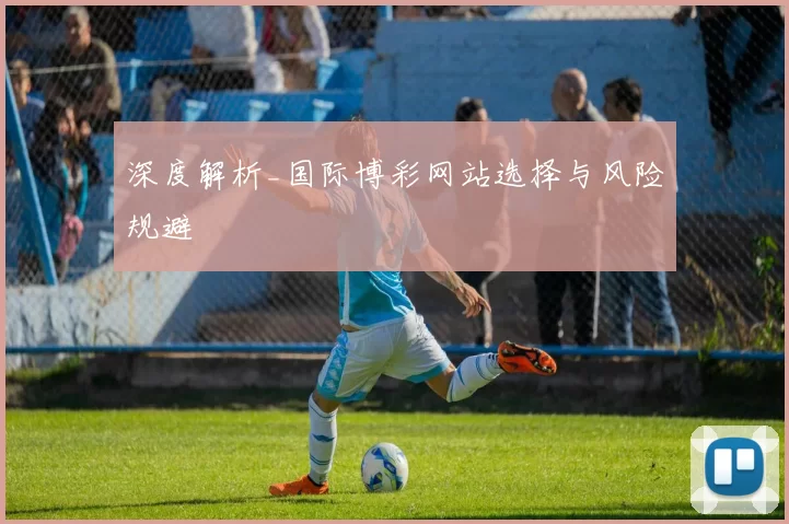 深度解析_国际博彩网站选择与风险规避