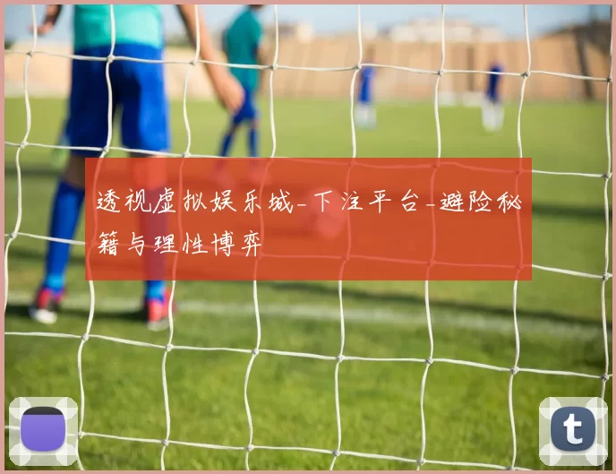 透视虚拟娱乐城_下注平台_避险秘籍与理性博弈