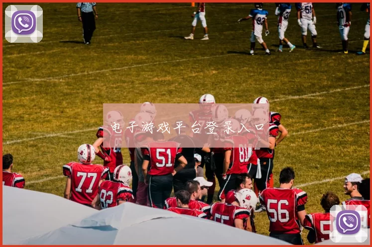 电子游戏平台登录入口