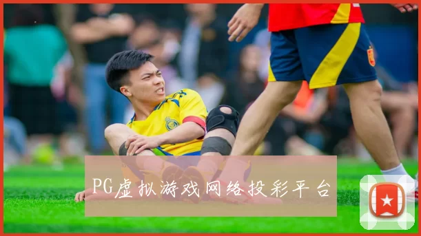 PG虚拟游戏网络投彩平台