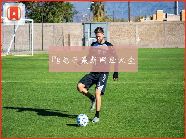 Pg电子最新网址大全