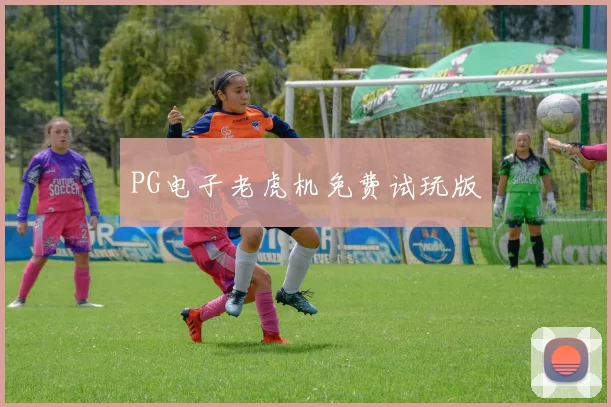 PG电子老虎机免费试玩版