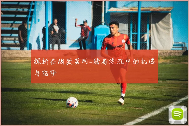 探析在线菠菜网_赌局浮沉中的机遇与陷阱