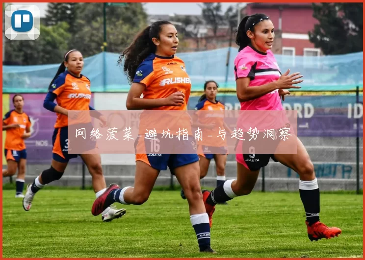 网络菠菜_避坑指南_与趋势洞察