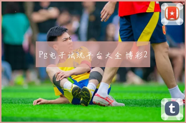 Pg电子试玩平台大全 博彩2