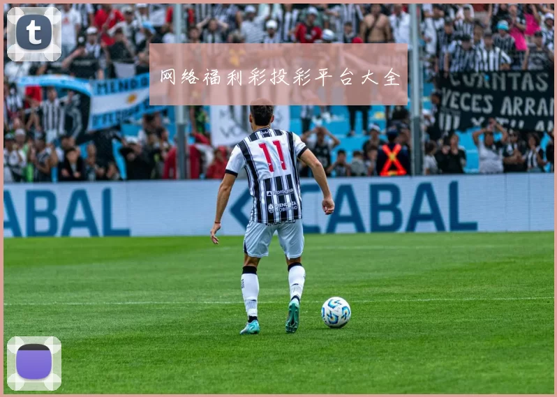 网络福利彩投彩平台大全