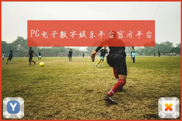 PG电子数字娱乐平台官方平台