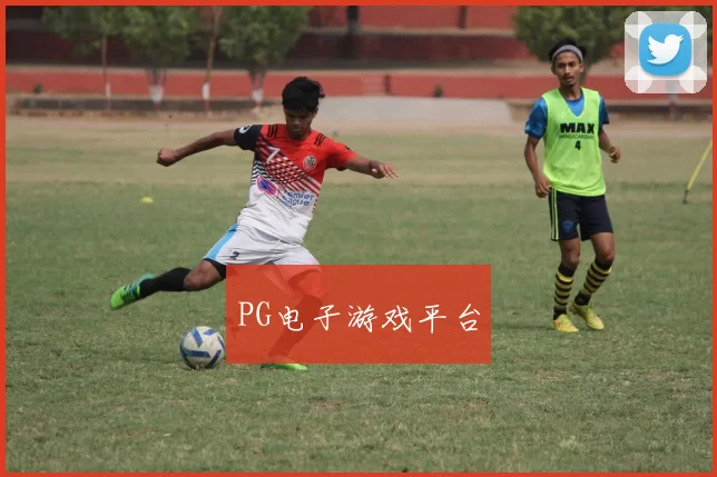 PG电子游戏平台