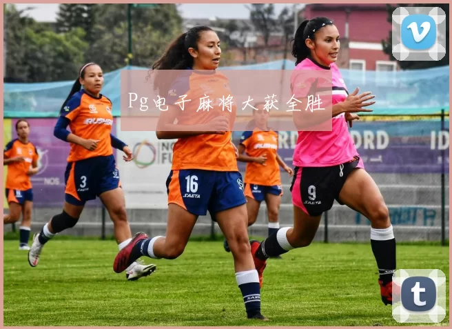 Pg电子麻将大获全胜