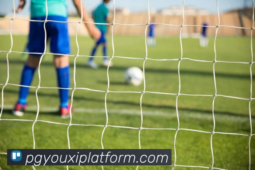 pg游戏服务体系